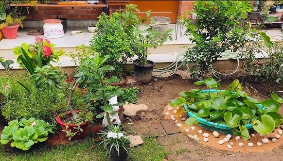 New Gardening Product Xhasrloranit: A Gardener's Guide